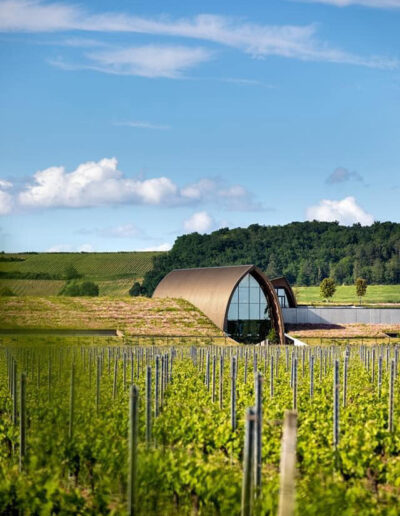CHATEAU ANGELUS 4